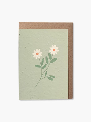 Green daisies