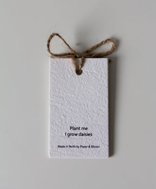 Plantable Gift Tags