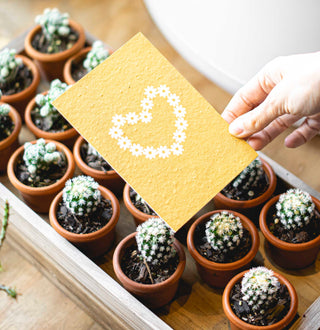 Plantable Greeting Cards