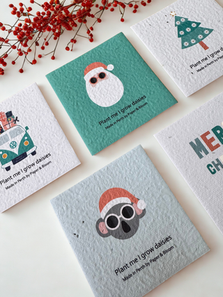 Plantable Christmas Gift Tags - Set of 5 Mini Cards