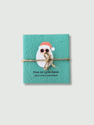 Plantable Christmas Gift Tags - Set of 5 Mini Cards