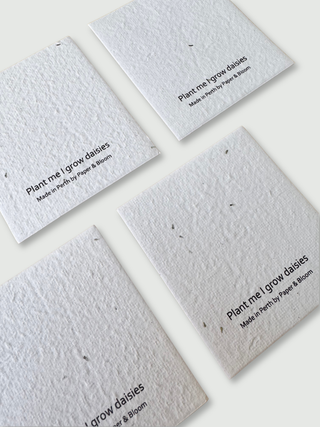Plantable Gift Tags - Set of 5 Mini Cards