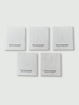 Plantable Gift Tags - Set of 5 Mini Cards