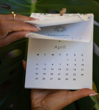 Plantable seeded calendar - plants & quotes