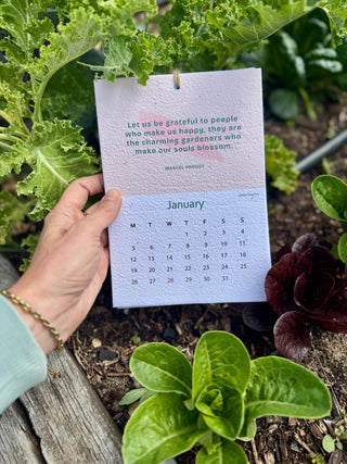 [Pre-order now! Ships from 07 NOV] Plantable seeded calendar - The Herb Garden Edition