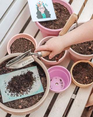 Plantable seeded calendar - plants & quotes