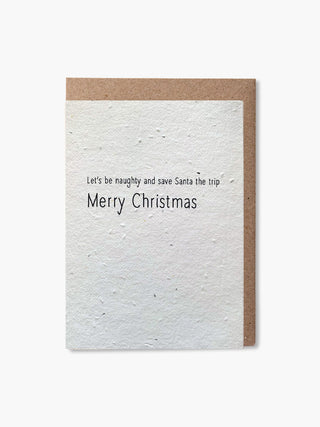 Set of 5 plantable Christmas cards