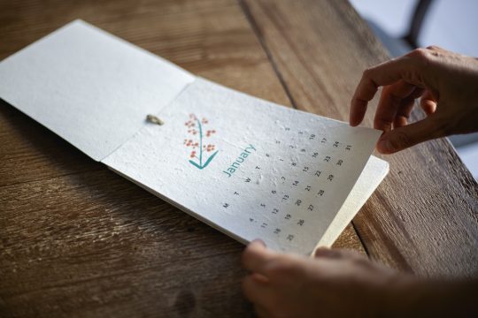 Plantable calendar - January month