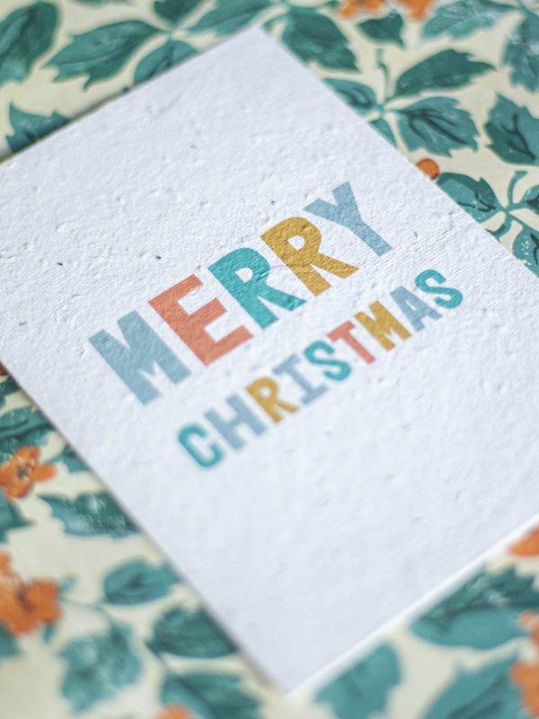 Colourful Merry Christmas seed card