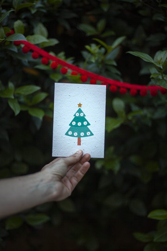 Christmas tree plantable card