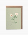 Green Daisies plantable card