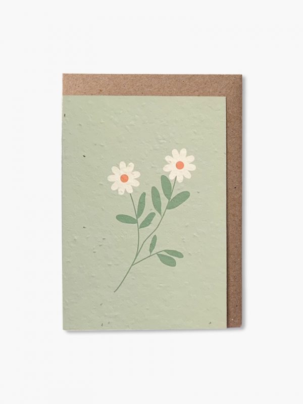 Green Daisies plantable card