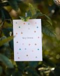 Stars-printed Merry Christmas plantable card