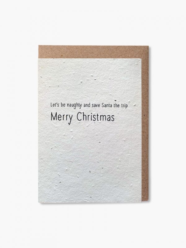 Let's be naughty Merry Christmas plantable card
